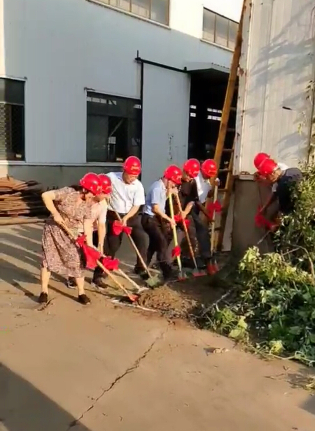 日本一区二区三区免费视频