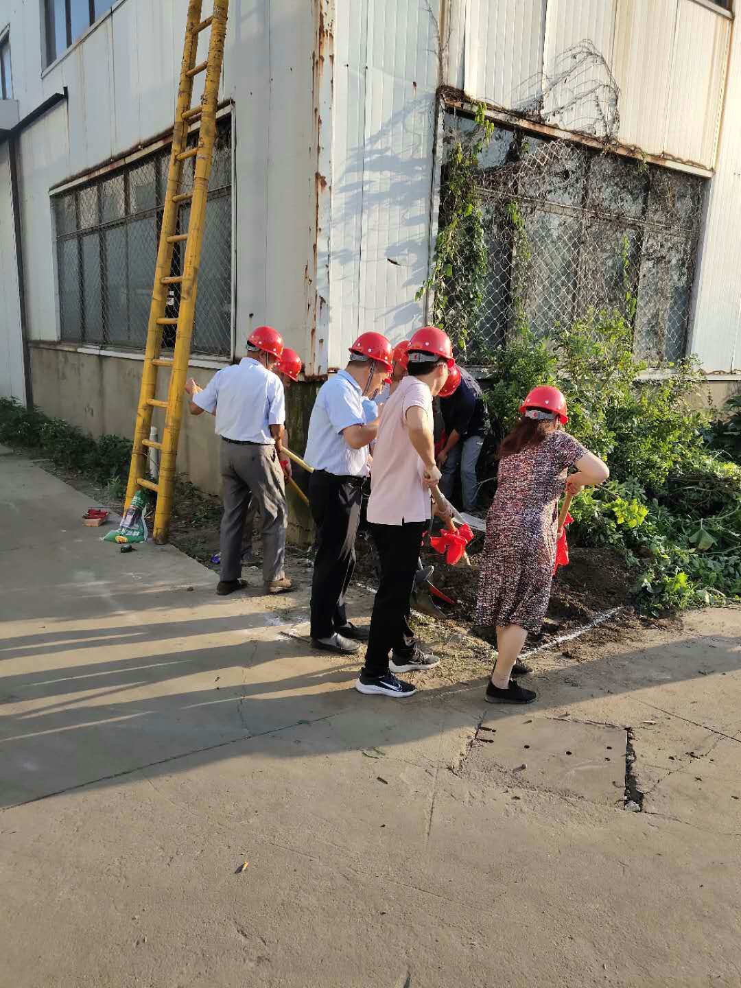 日本一区二区三区免费视频