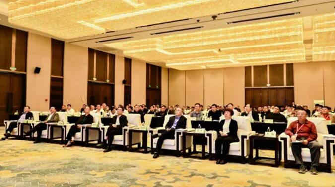 日本一区二区三区免费视频